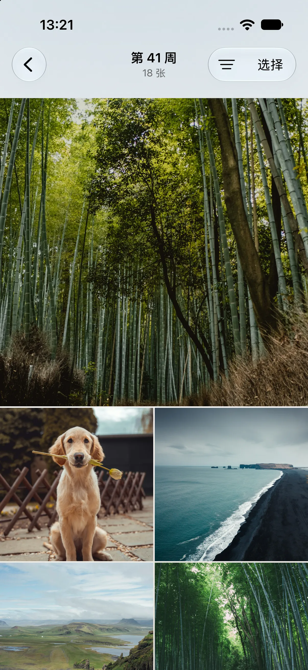 Recap 真实周回顾照片网格,展示竹林、宠物、海岸与山野。