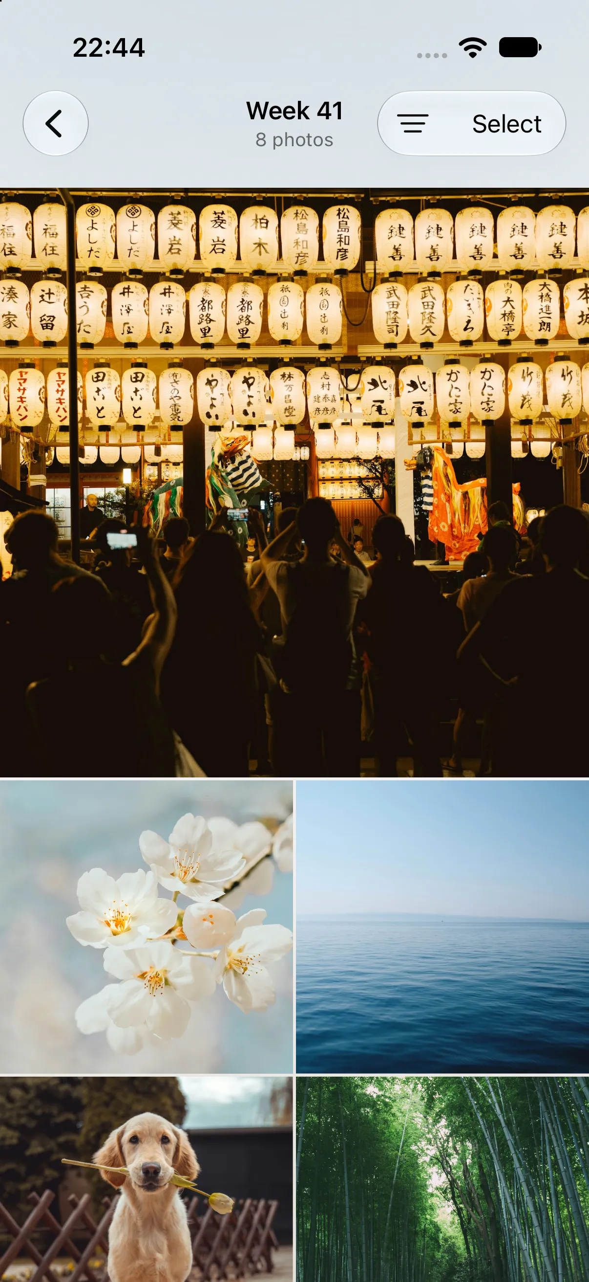 A real Recap weekly photo grid showing a bamboo forest, a dog, a coastline, and hills.